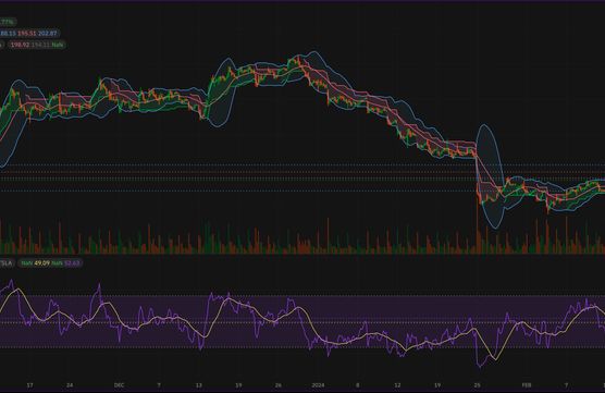 TESLA BIG SCAM OR BIG PROFIT IN 2024?image