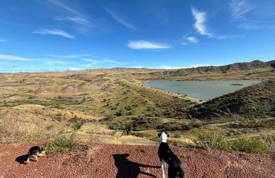 Free post для нищебродовimage