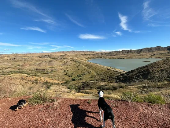 Free post для нищебродовimage