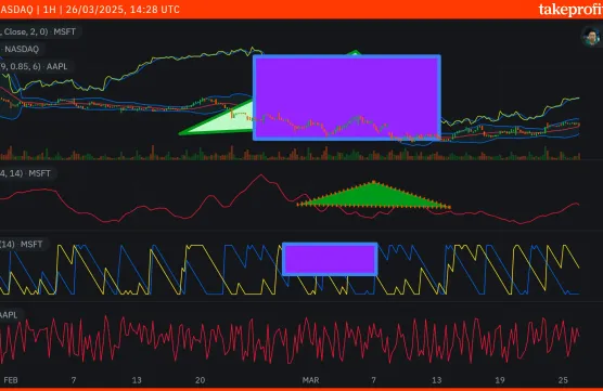 patterts-labels-shift-bug 03.26.25image