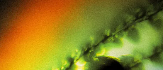 Hello! Here is the screenerimage