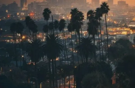 New draft 08 05 2024 ******image