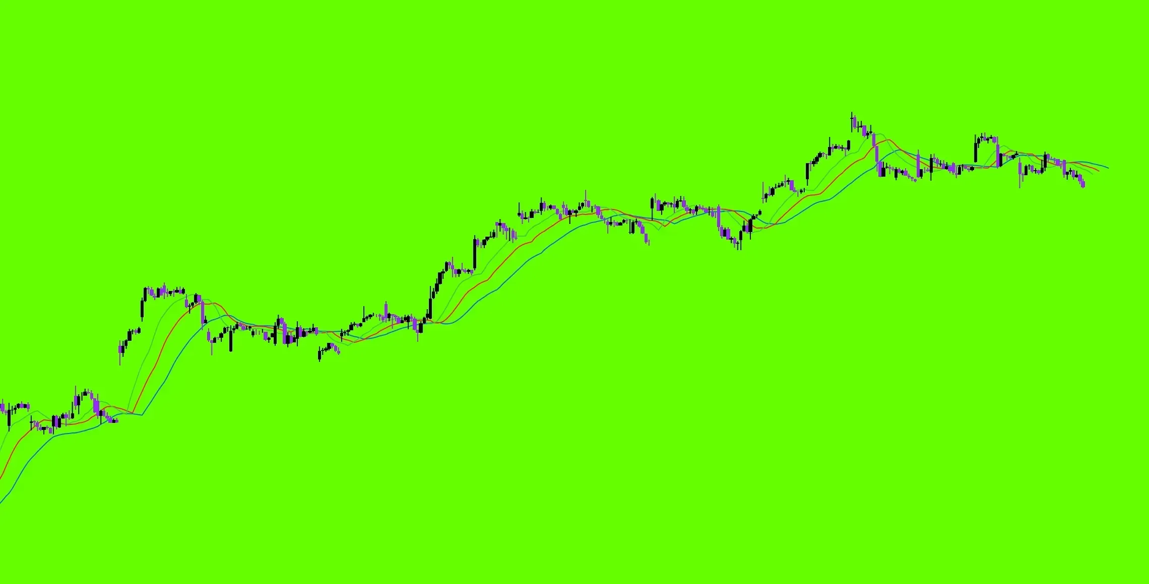 Alligator with custom background and candles image