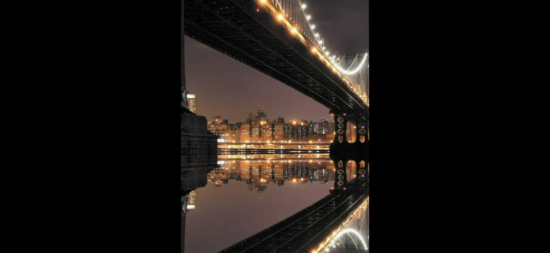 znafuga's Cover image